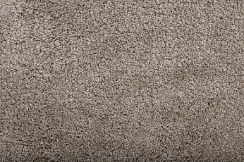 Ковролин Condor Amazing 72 фото 1 | FLOORDEALER